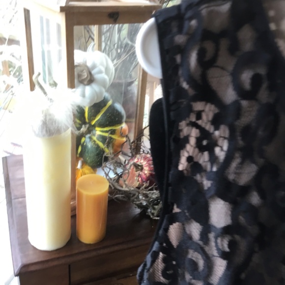 Ann Taylor Loft lined lace dress size 14 - Picture 2 of 3